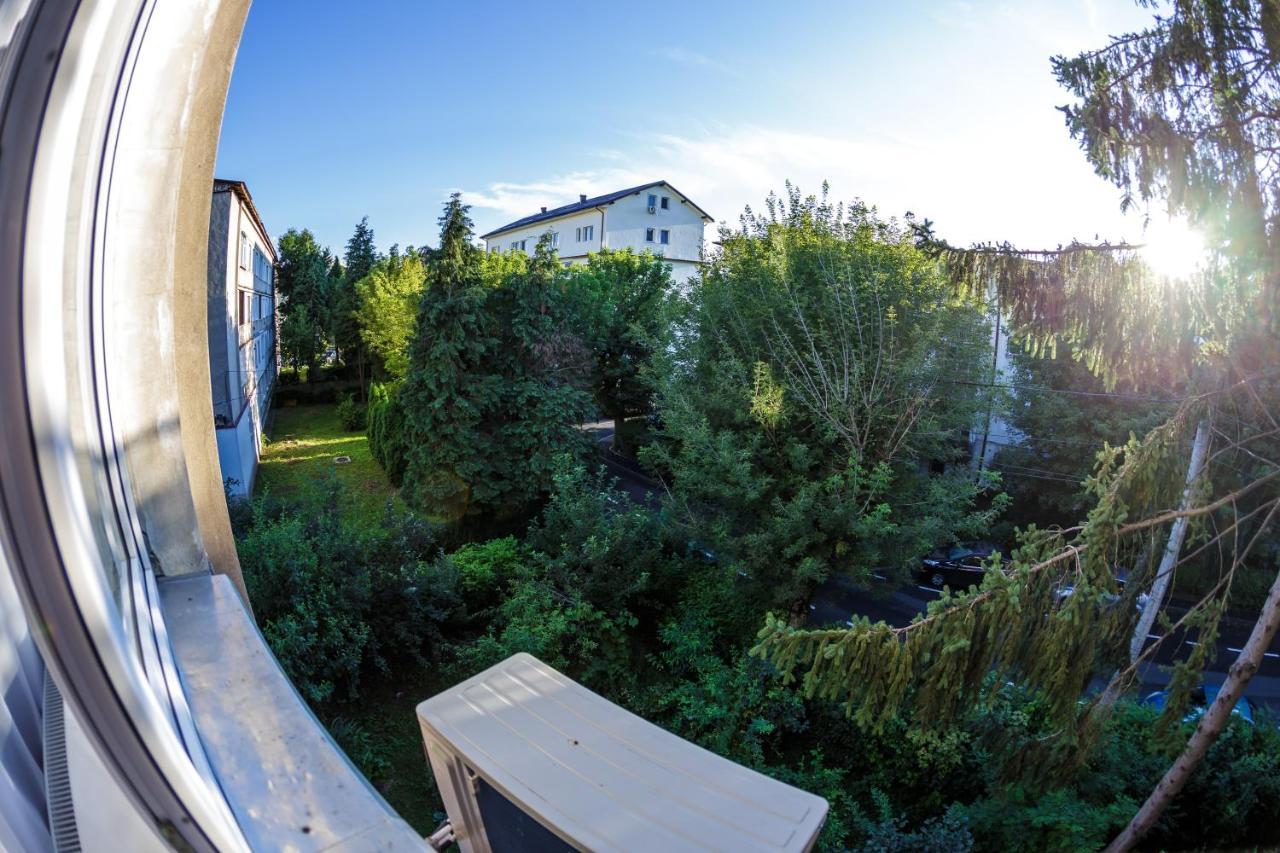 Apartament Family Rivulus 10 Baia Mare Eksteriør billede